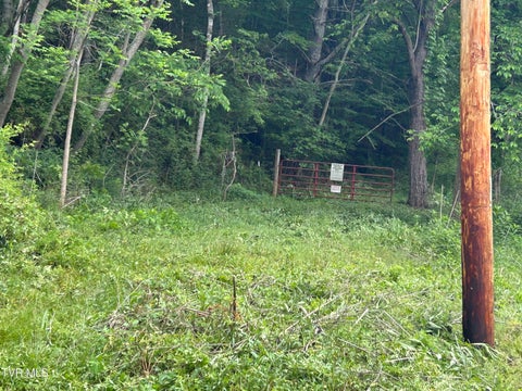 Vacant Land For Sale - High Country Road #091145.00<br/> Butler, TN 37640