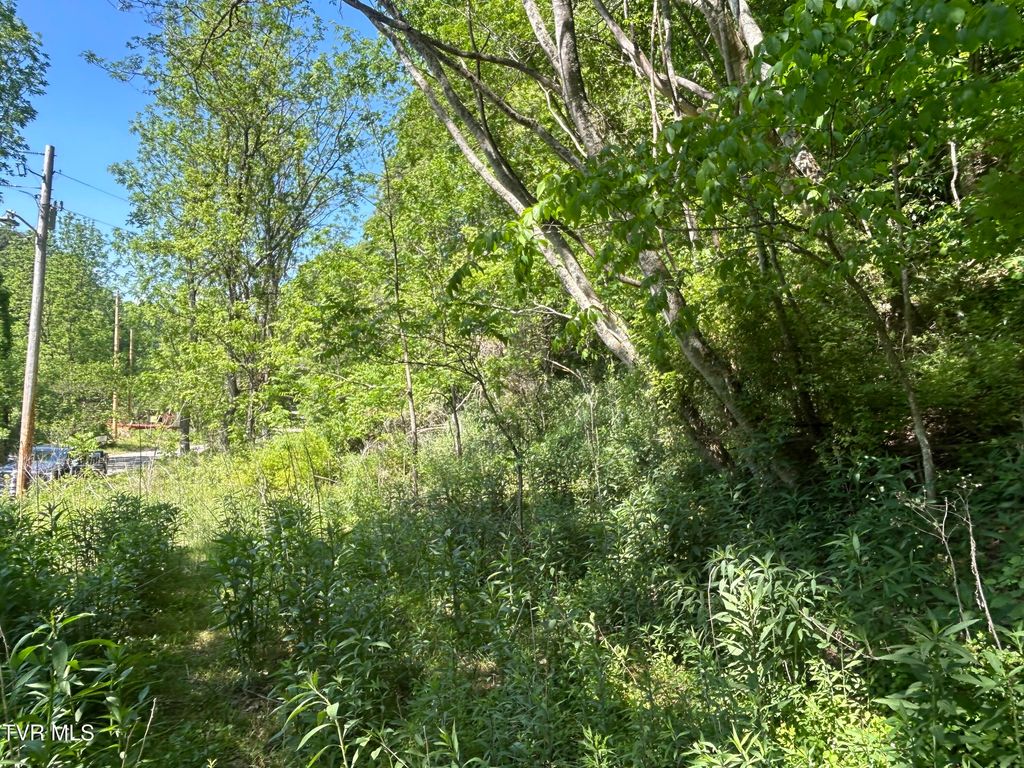 Photo of 0 High Country Road #091145.00, Butler, TN 37640 (MLS # 9995971)
