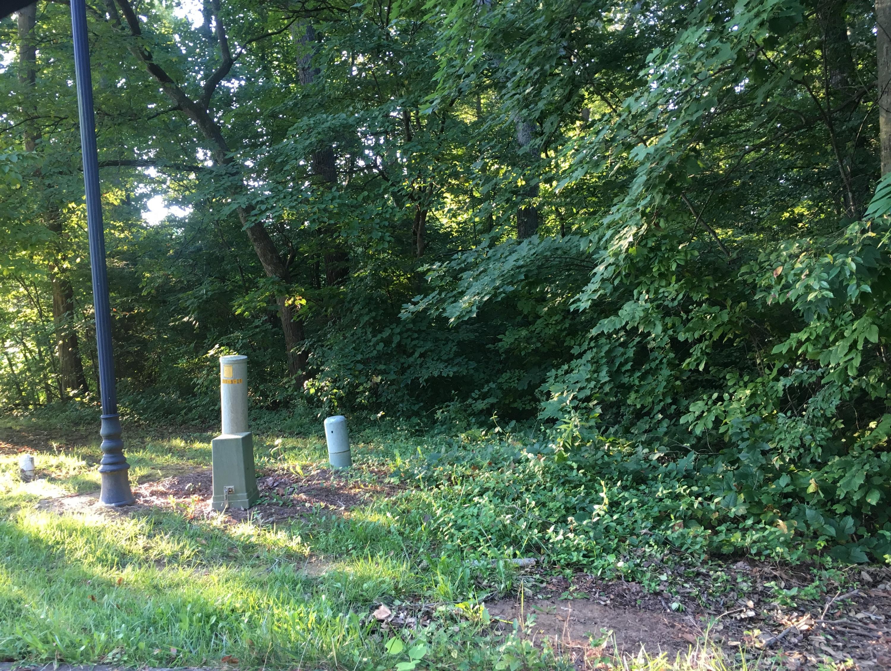 221 Sterling Springs Drive, Johnson City, Tennessee image 6