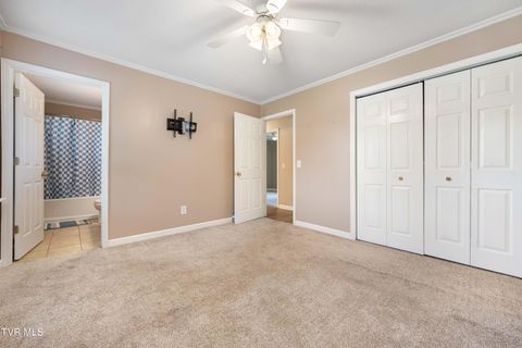 Tiny photo for 3611 Kimrod Drive, Johnson City, TN 37601 (MLS # 9985292)