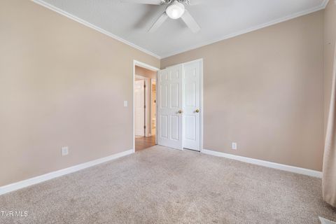 Tiny photo for 3611 Kimrod Drive, Johnson City, TN 37601 (MLS # 9985292)