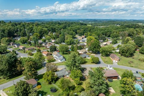 Tiny photo for 3611 Kimrod Drive, Johnson City, TN 37601 (MLS # 9985292)