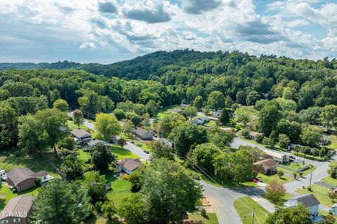 Tiny photo for 3611 Kimrod Drive, Johnson City, TN 37601 (MLS # 9985292)