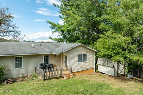Tiny photo for 3611 Kimrod Drive, Johnson City, TN 37601 (MLS # 9985292)