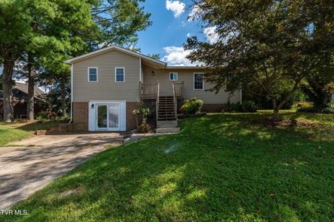 Tiny photo for 3611 Kimrod Drive, Johnson City, TN 37601 (MLS # 9985292)