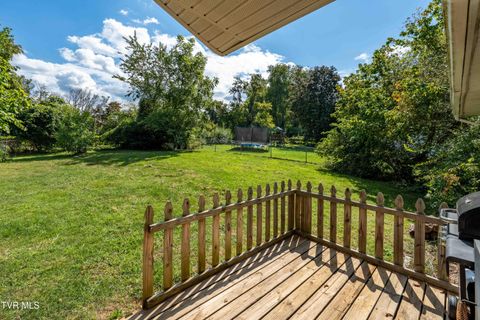 Tiny photo for 3611 Kimrod Drive, Johnson City, TN 37601 (MLS # 9985292)
