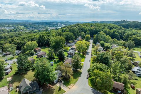 Tiny photo for 3611 Kimrod Drive, Johnson City, TN 37601 (MLS # 9985292)