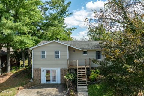Tiny photo for 3611 Kimrod Drive, Johnson City, TN 37601 (MLS # 9985292)