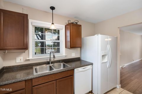 Tiny photo for 3611 Kimrod Drive, Johnson City, TN 37601 (MLS # 9985292)