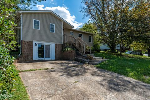 Tiny photo for 3611 Kimrod Drive, Johnson City, TN 37601 (MLS # 9985292)