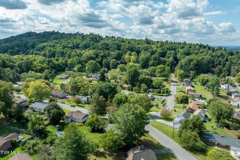 Tiny photo for 3611 Kimrod Drive, Johnson City, TN 37601 (MLS # 9985292)