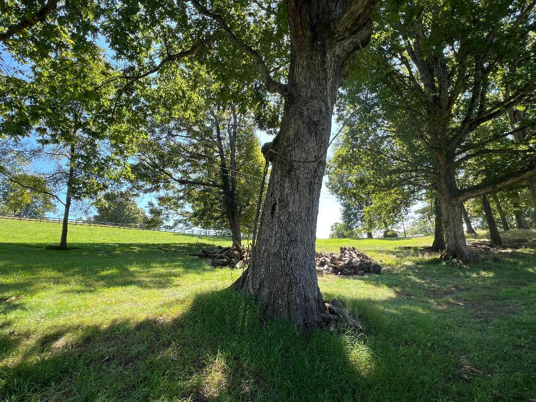 Colonade Drive, Abingdon, Virginia image 3