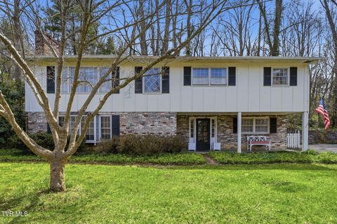 Photo of 698 Garden Lane, Bristol, VA 24201 (MLS # 9992627)