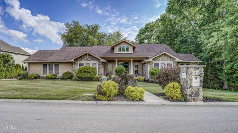 Photo of 212 Lake Meadow Drive, Gray, TN 37615 (MLS # 9995446)