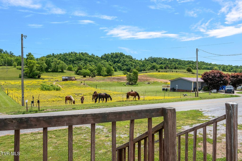 Photo of 4245 Old Snapps Ferry Road, Limestone, TN 37681 (MLS # 9994916)