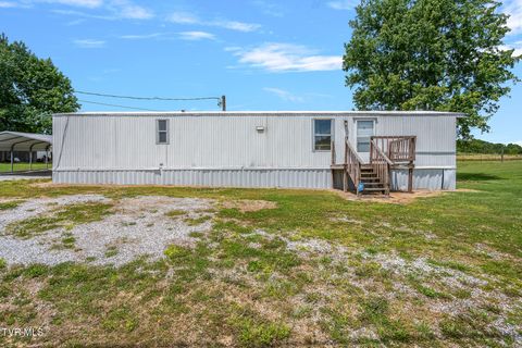 Photo of 4245 Old Snapps Ferry Road, Limestone, TN 37681 (MLS # 9994916)