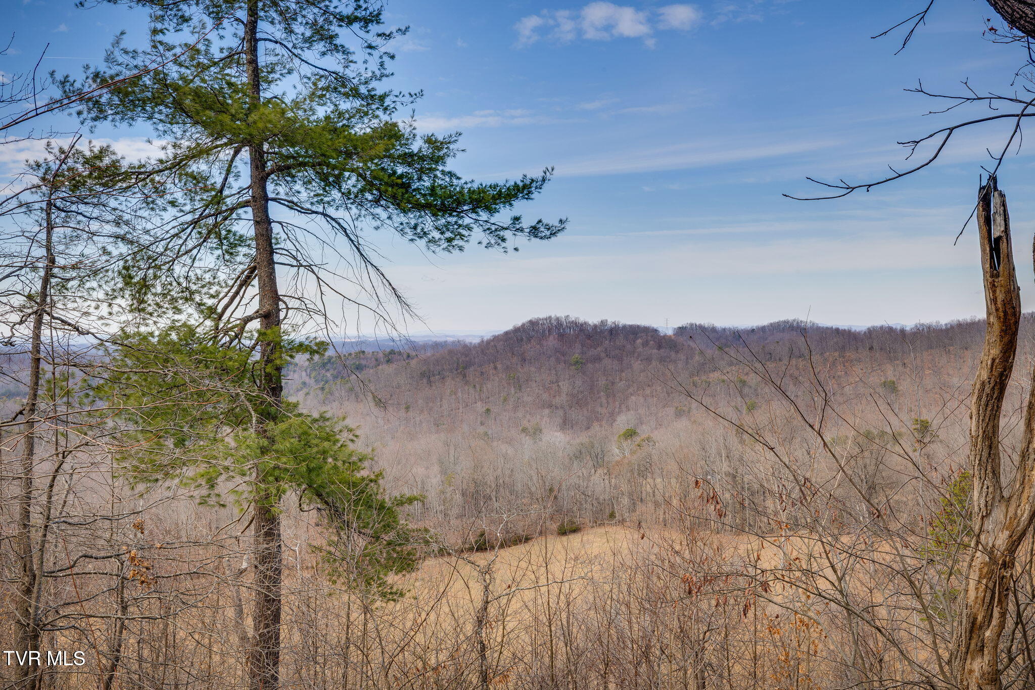 309 Holston Mountain Road