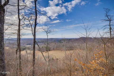 Vacant Land For Sale - 309 Holston Mountain Road<br/> Elizabethton, TN 37643