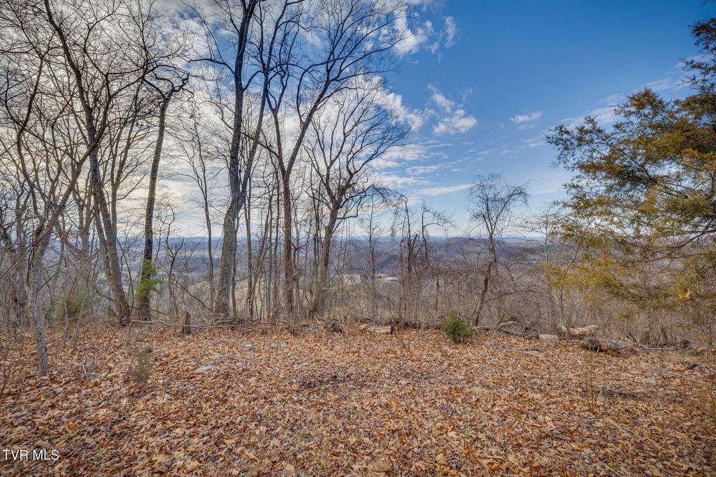 Photo of 309 Holston Mountain Road, Elizabethton, TN 37643 (MLS # 9990655)
