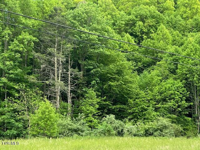 0000 Forge Creek Road, Mountain City, Tennessee image 9