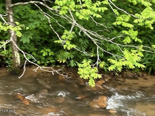 0000 Forge Creek Road, Mountain City, Tennessee image 4