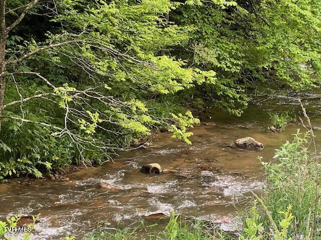 0000 Forge Creek Road, Mountain City, Tennessee image 3