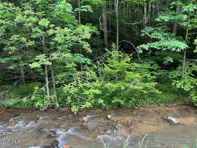 0000 Forge Creek Road, Mountain City, Tennessee image 5