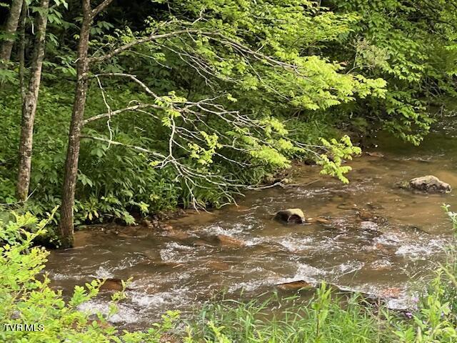 0000 Forge Creek Road, Mountain City, Tennessee image 7