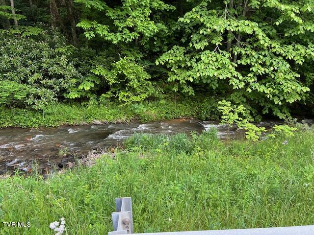 0000 Forge Creek Road, Mountain City, Tennessee image 6