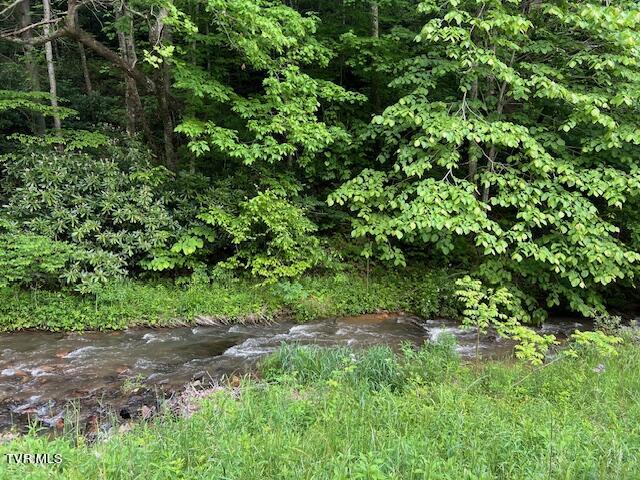 0000 Forge Creek Road, Mountain City, Tennessee image 2
