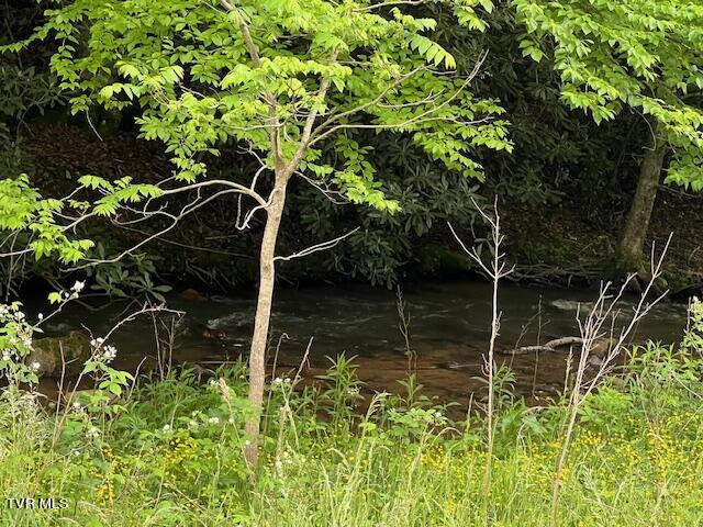 0000 Forge Creek Road, Mountain City, Tennessee image 8