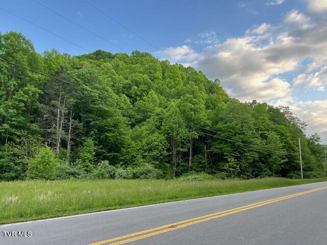 0000 Forge Creek Road, Mountain City, Tennessee image 11