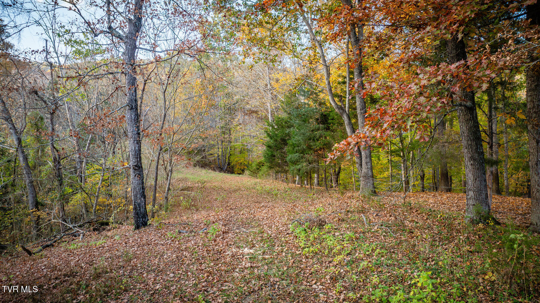 7084 Lone Star Road #2, Kingsport, Tennessee image 39