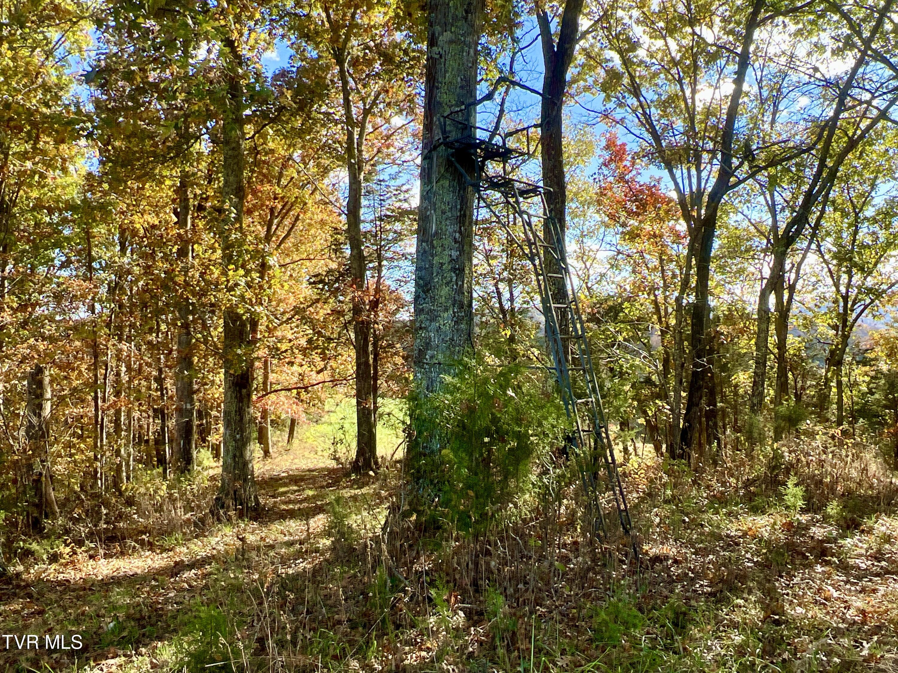 7084 Lone Star Road #2, Kingsport, Tennessee image 42