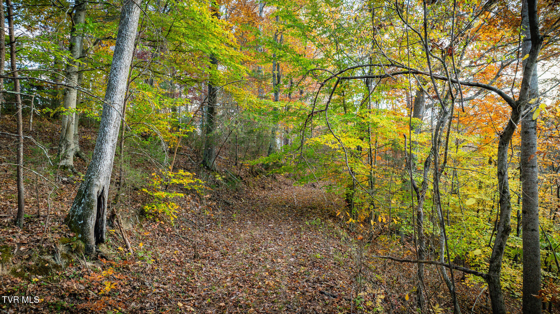 7084 Lone Star Road #2, Kingsport, Tennessee image 40