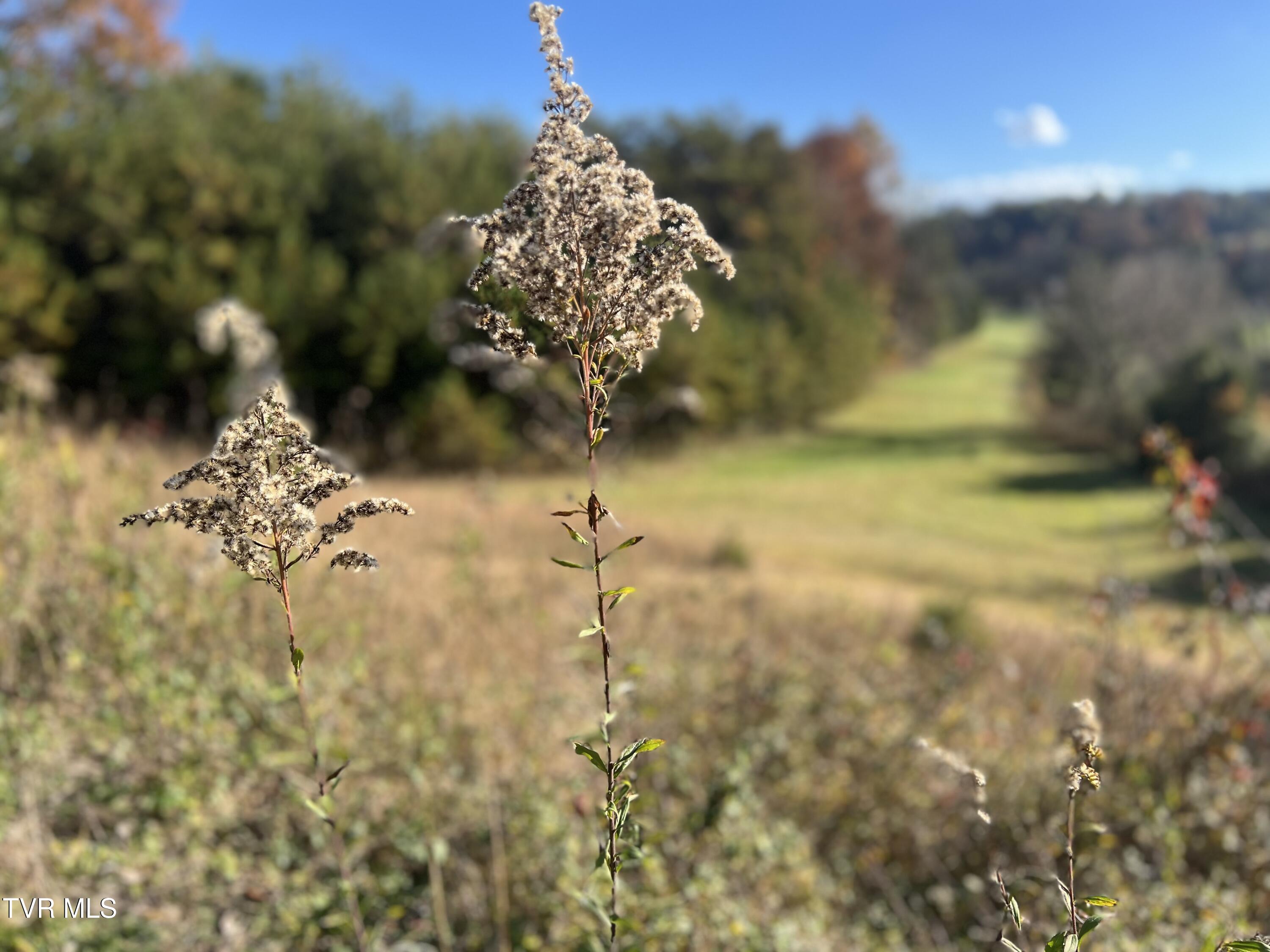 7084 Lone Star Road #2, Kingsport, Tennessee image 32