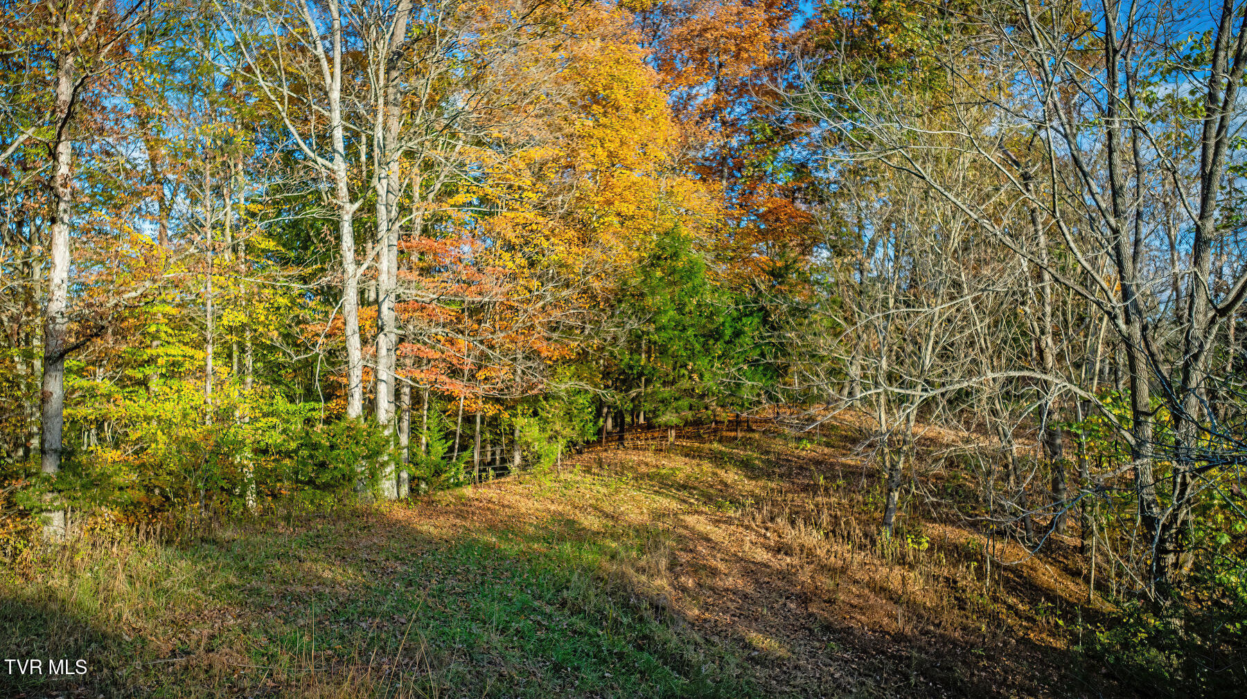 7084 Lone Star Road #2, Kingsport, Tennessee image 38