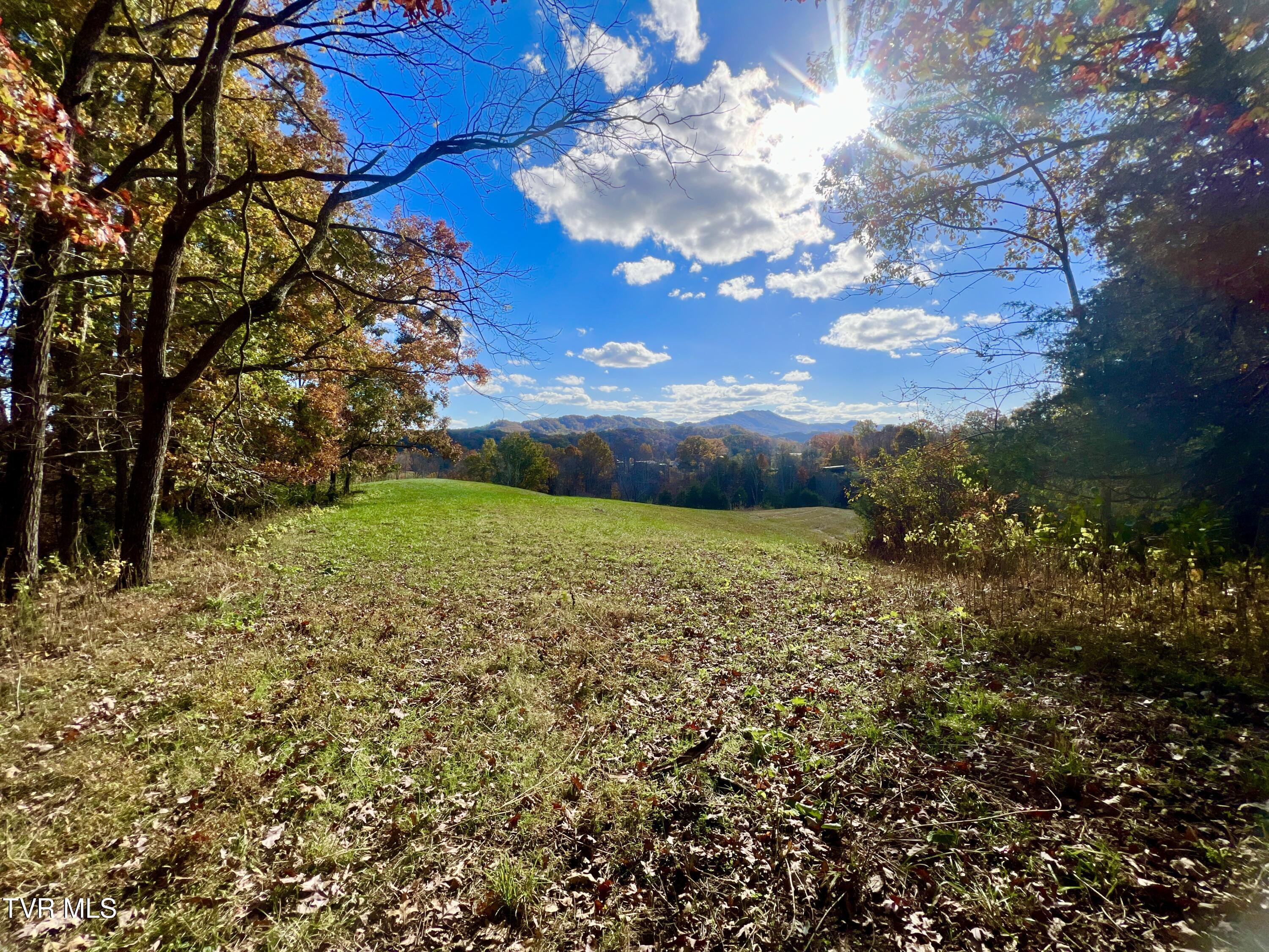 7084 Lone Star Road #2, Kingsport, Tennessee image 24