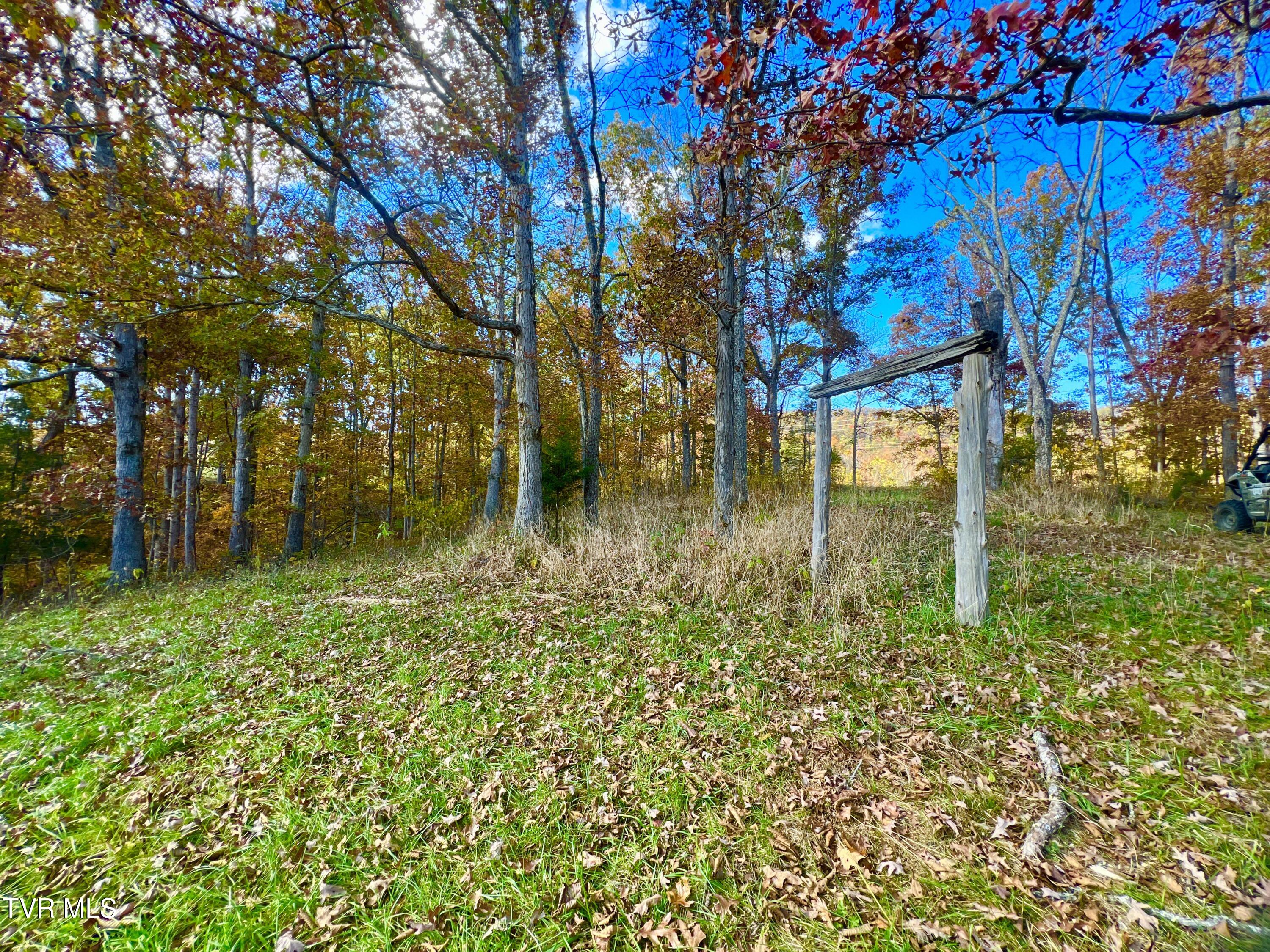 7084 Lone Star Road #2, Kingsport, Tennessee image 43
