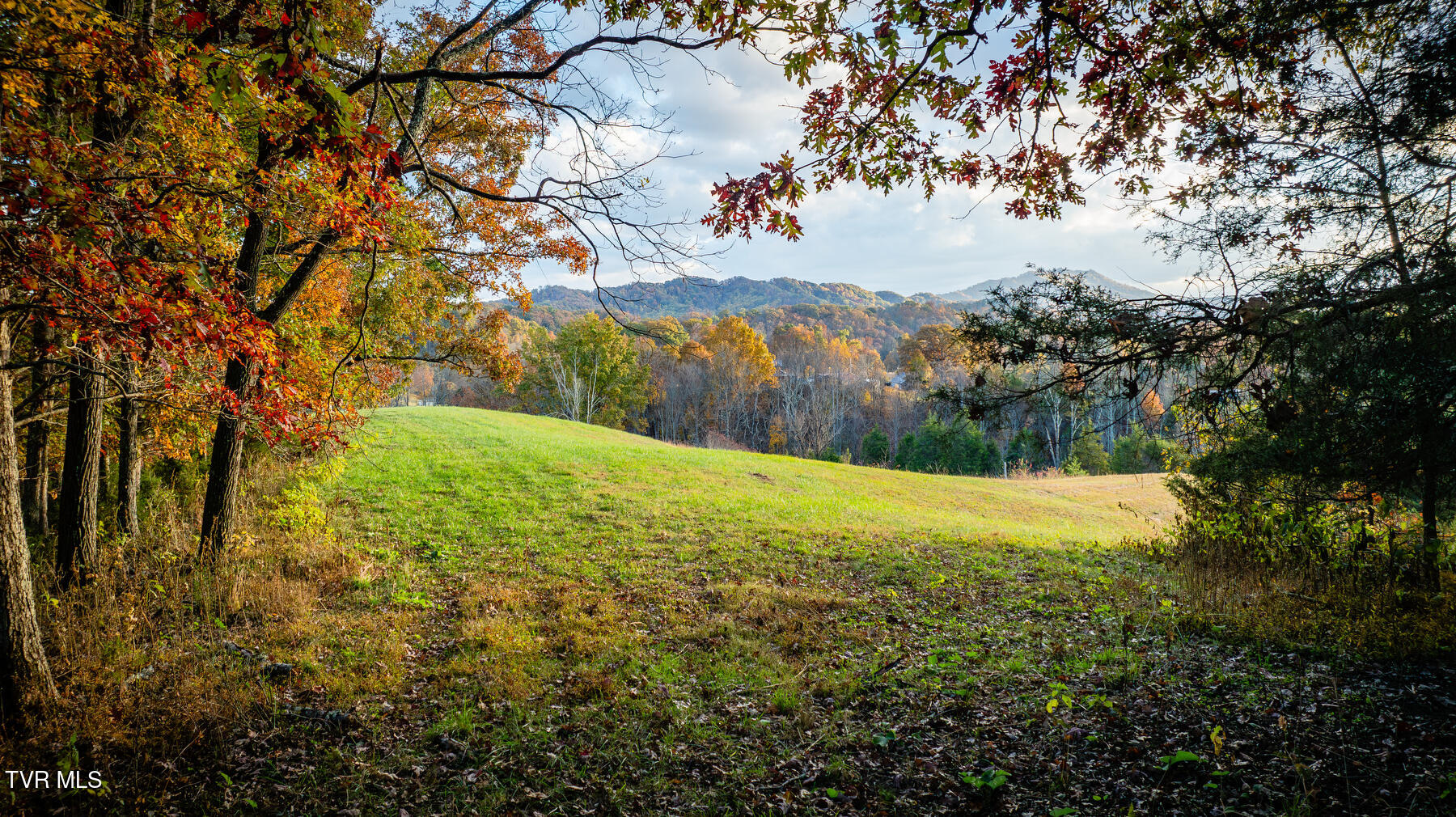 7084 Lone Star Road #2, Kingsport, Tennessee image 4