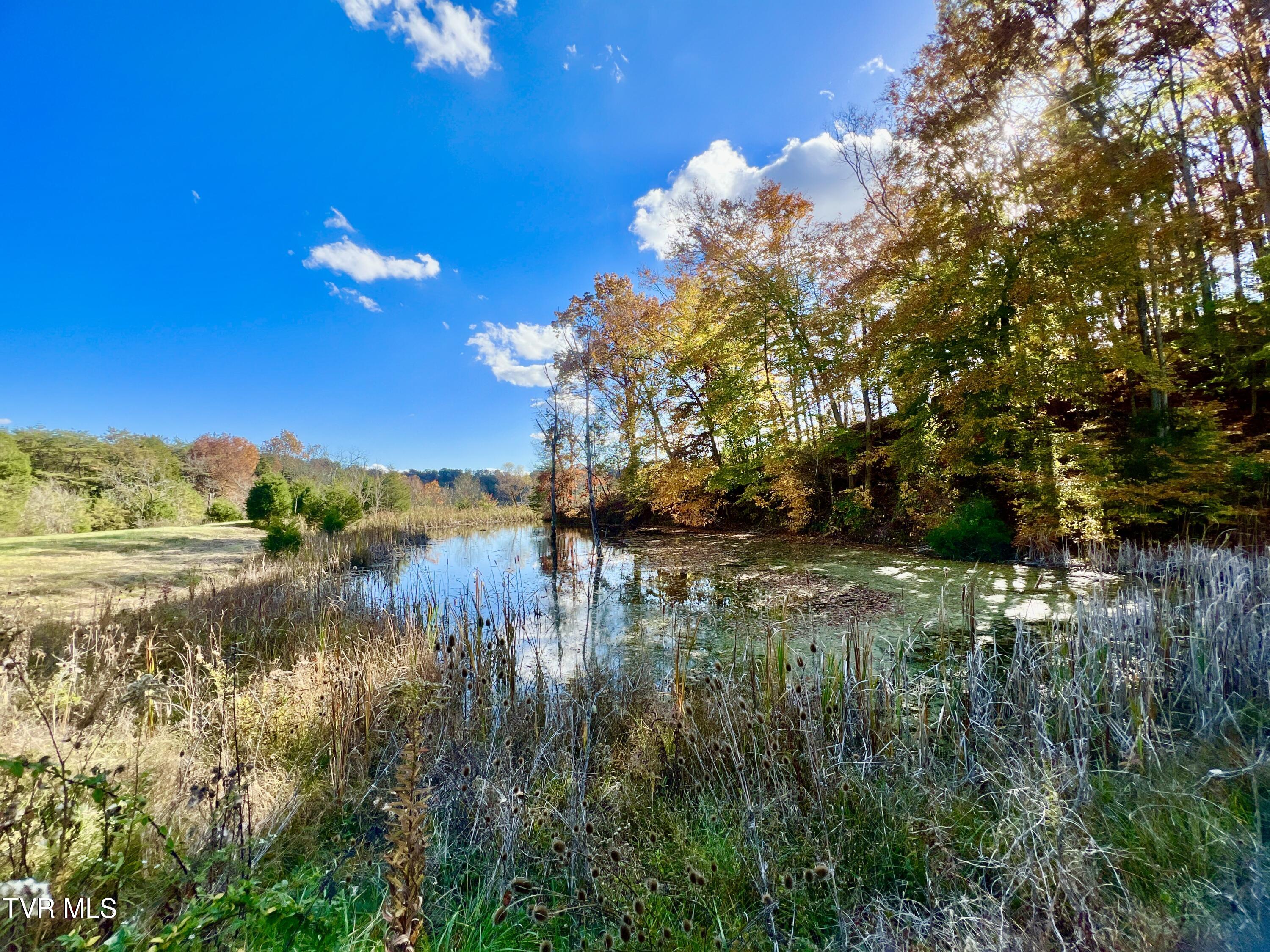 7084 Lone Star Road #2, Kingsport, Tennessee image 19