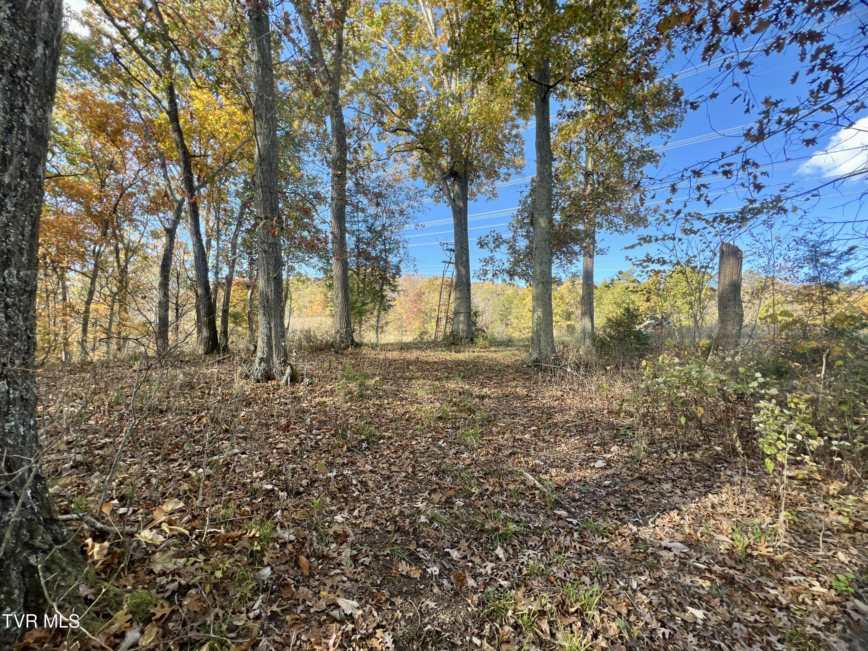7084 Lone Star Road #2, Kingsport, Tennessee image 25