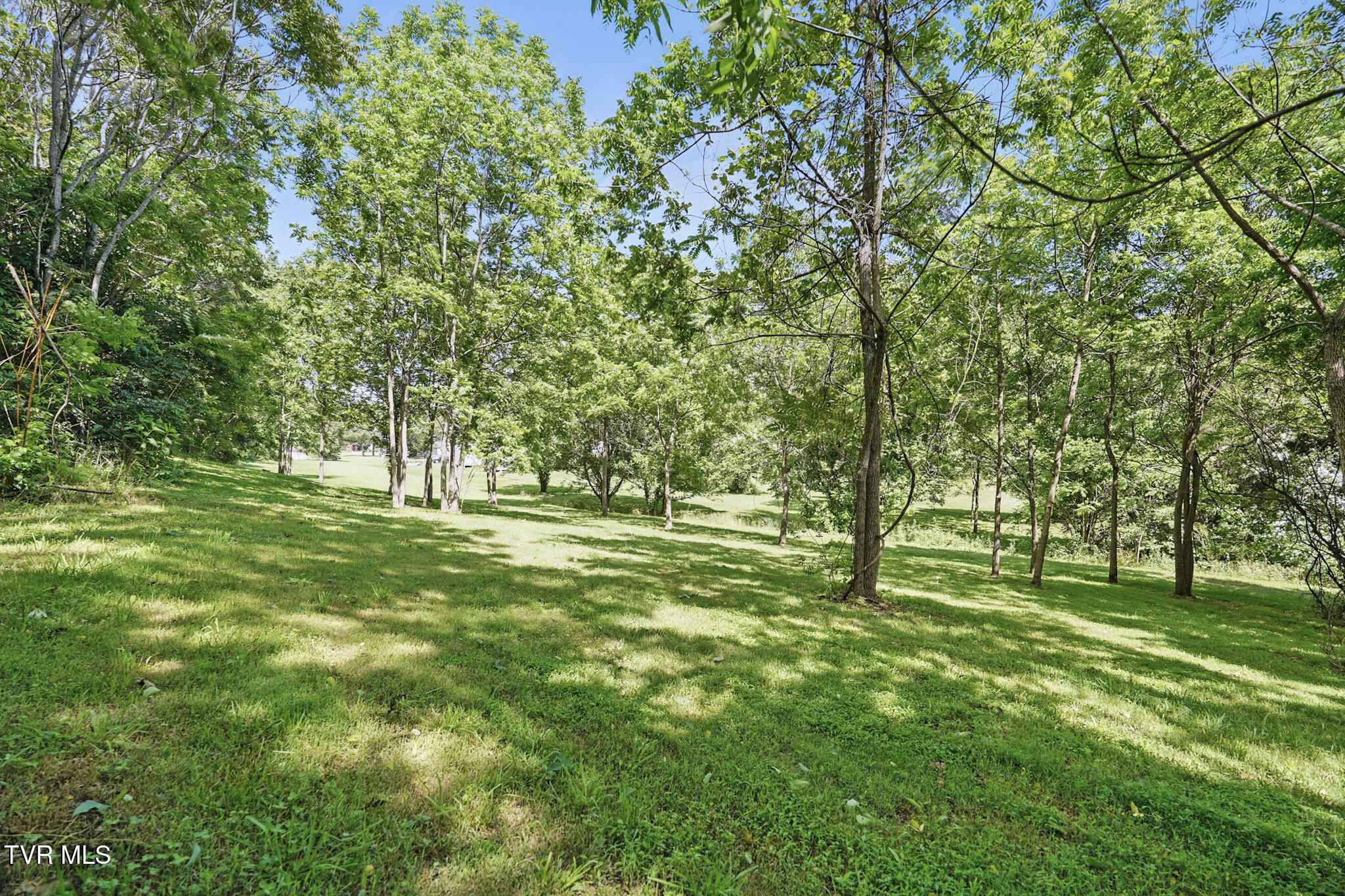 1032 Pleasant Drive, Jonesborough, Tennessee image 30
