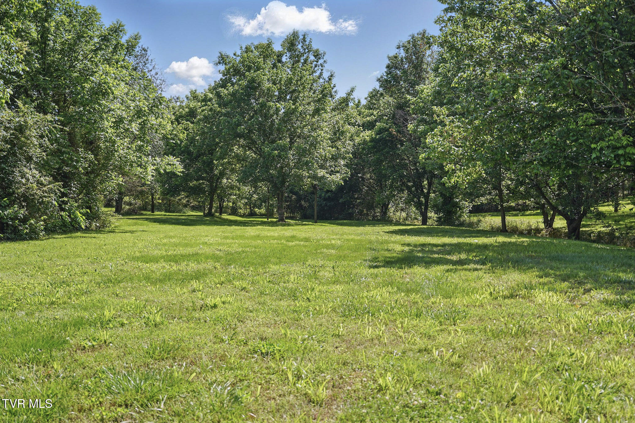 1032 Pleasant Drive, Jonesborough, Tennessee image 23