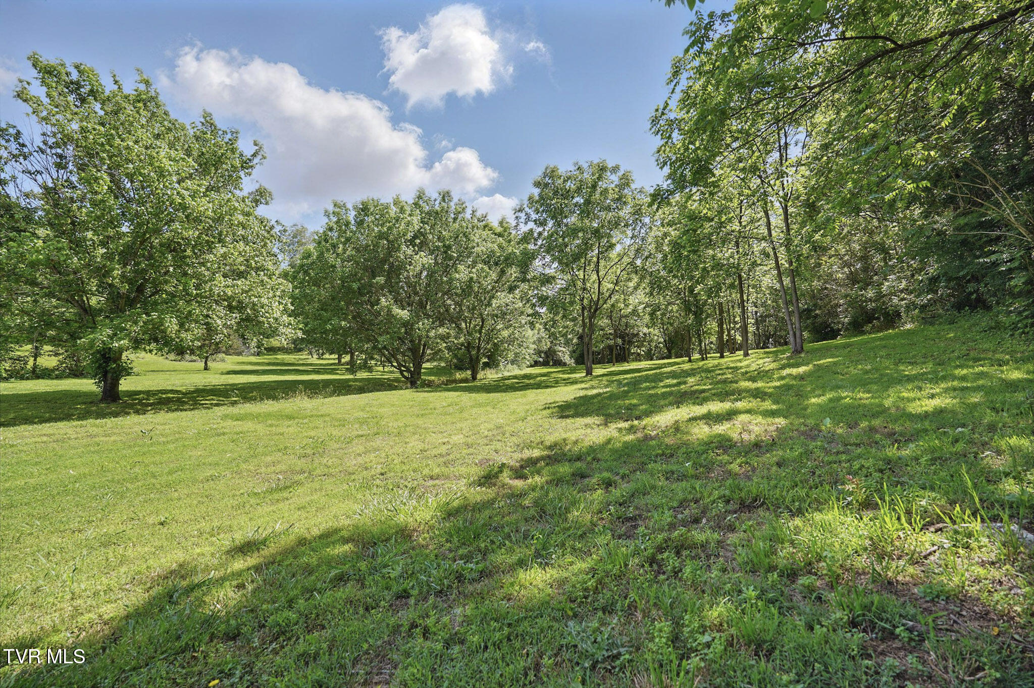 1032 Pleasant Drive, Jonesborough, Tennessee image 26