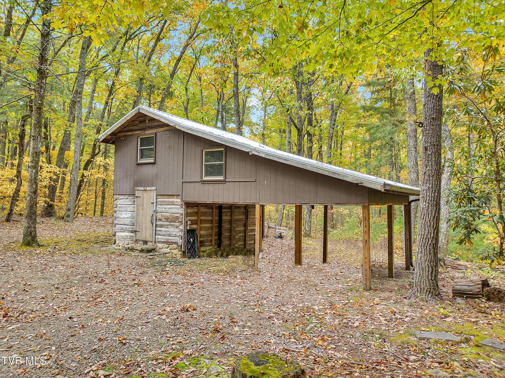 Photo of 300 Peavine Way, Greeneville, TN 37743 (MLS # 9988315)