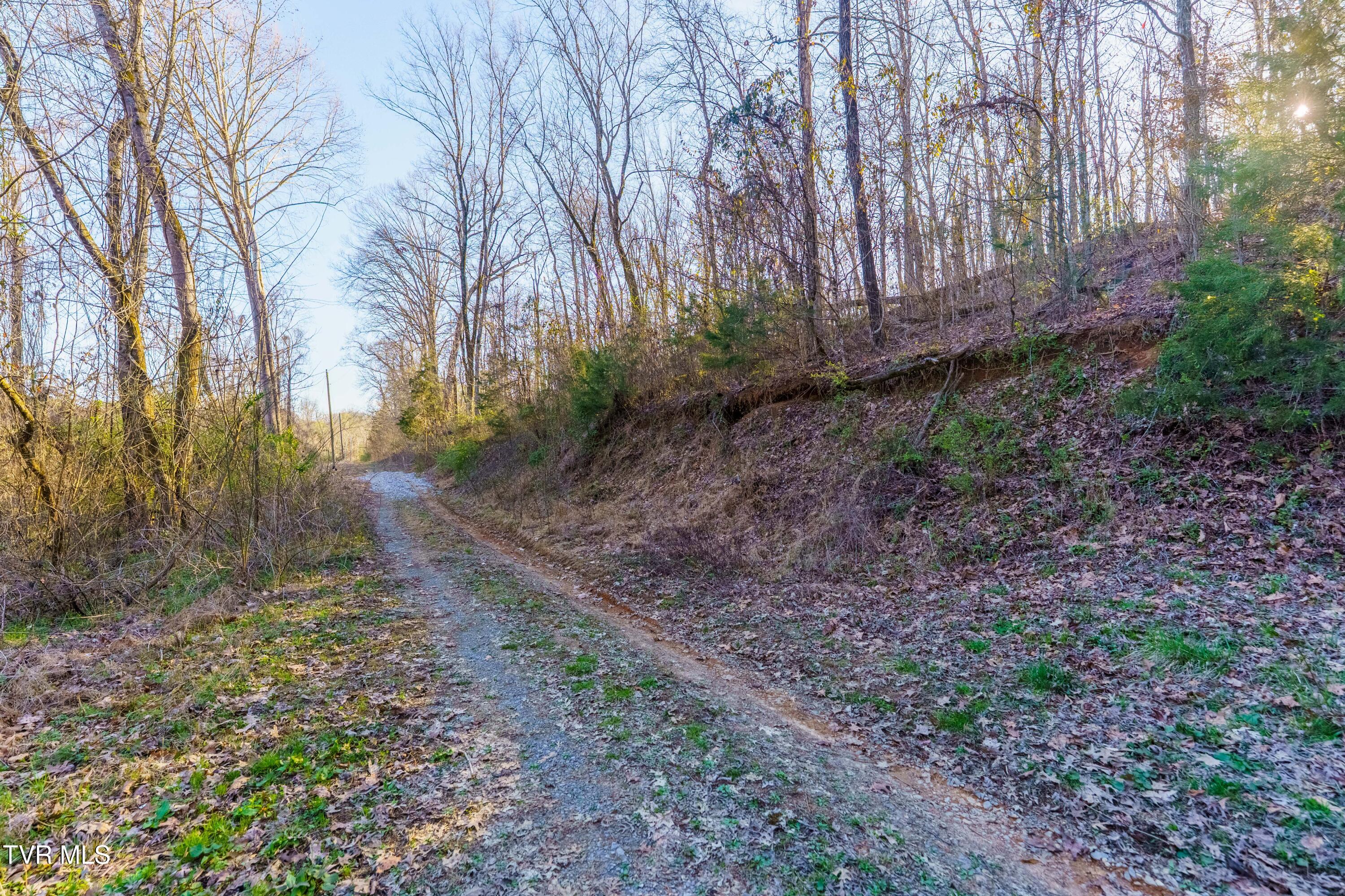 34 Ac Douglas Dam Road, Kodak, Tennessee image 2