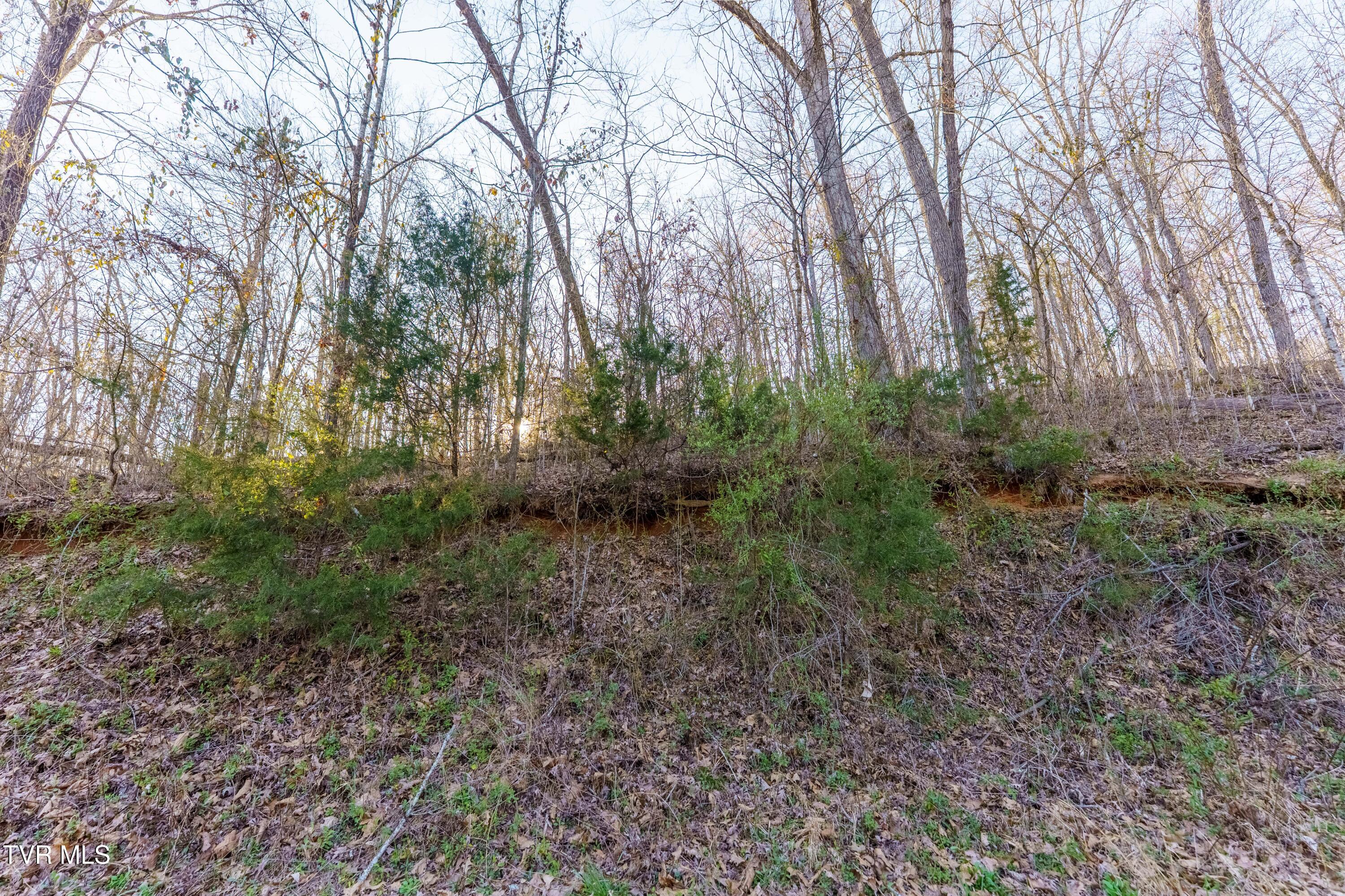 34 Ac Douglas Dam Road, Kodak, Tennessee image 1