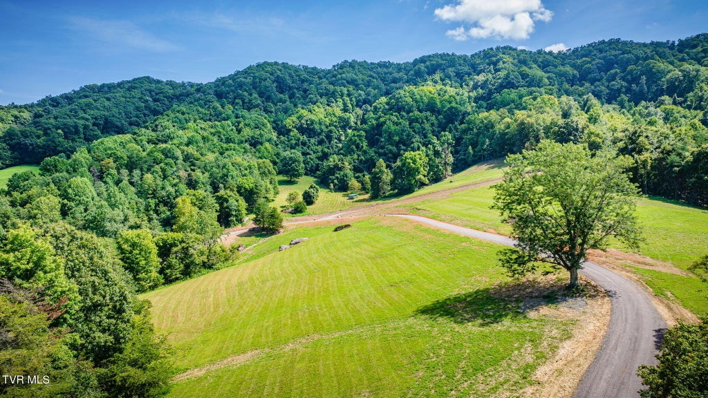 Photo of 4 Blackberry Hills Trail LN, Thorn Hill, TN 37881 (MLS # 10000318)