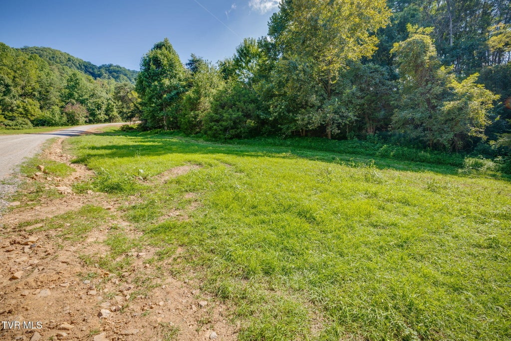 Photo of 4 Blackberry Hills Trail LN, Thorn Hill, TN 37881 (MLS # 10000318)